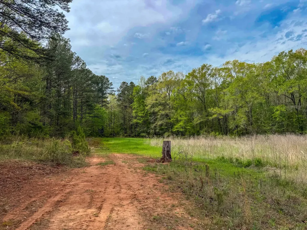 682 Shirley Lanthan Road Reform AL 35481