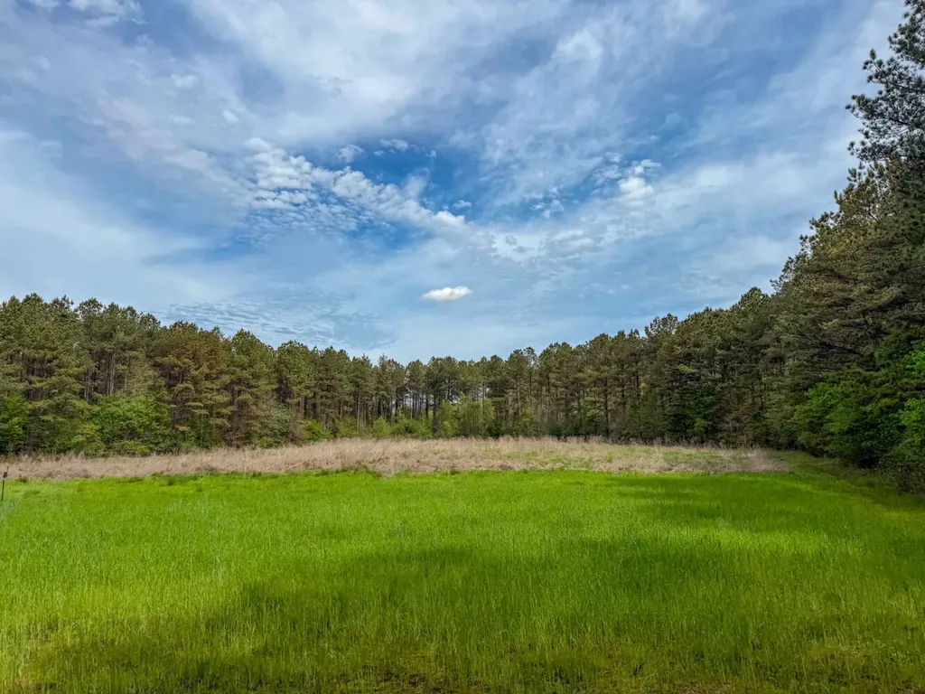 682 Shirley Lanthan Road Reform AL 35481