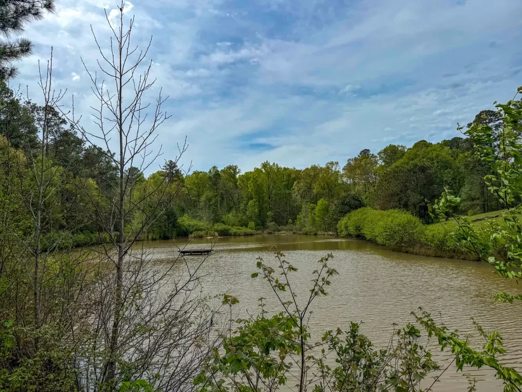682 Shirley Lanthan Road Reform AL 35481