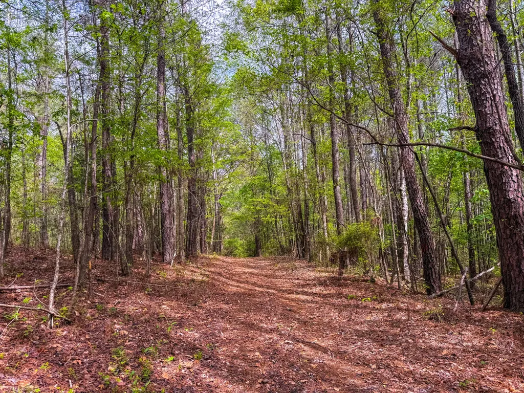 682 Shirley Lanthan Road Reform AL 35481