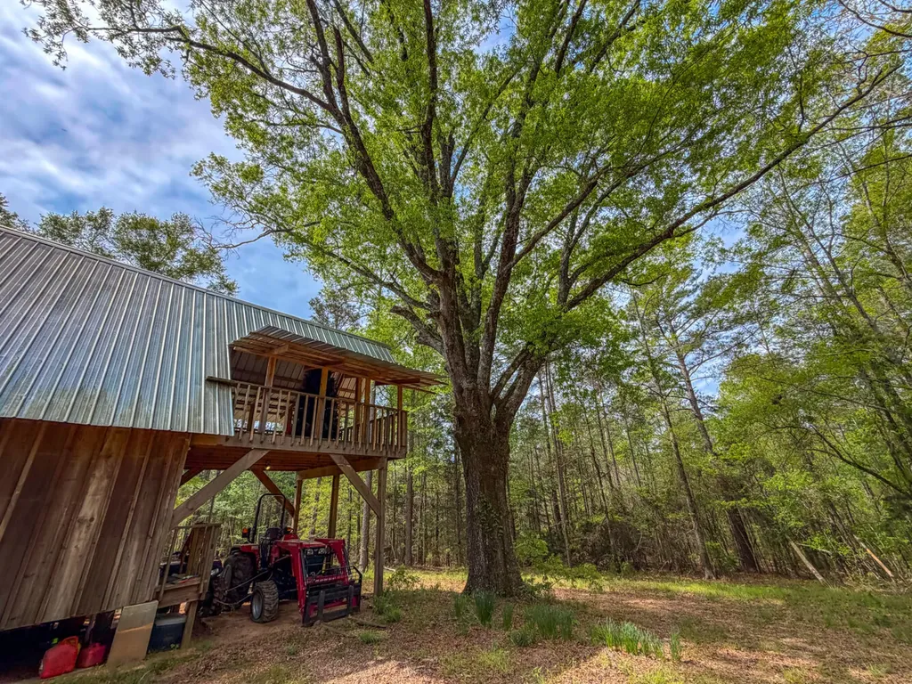 682 Shirley Lanthan Road Reform AL 35481