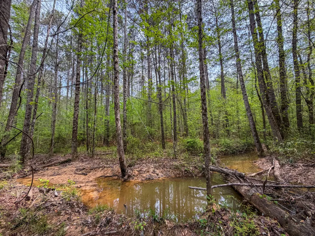 682 Shirley Lanthan Road Reform AL 35481