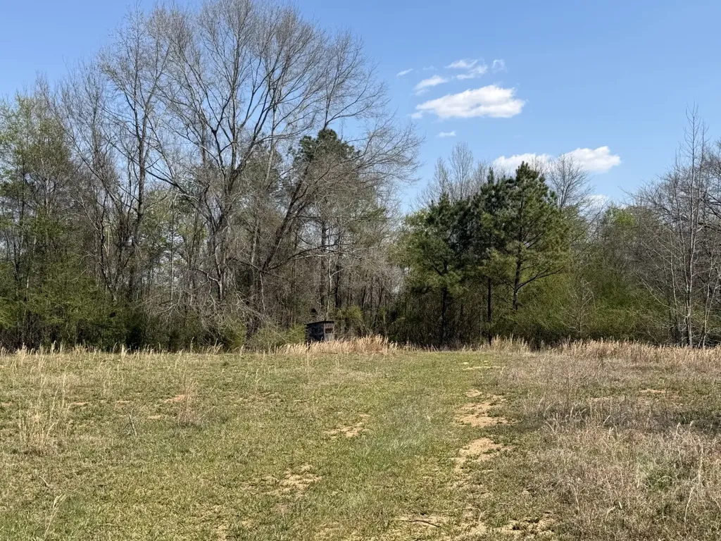 0 Highway 129 Hubbertville AL 35594