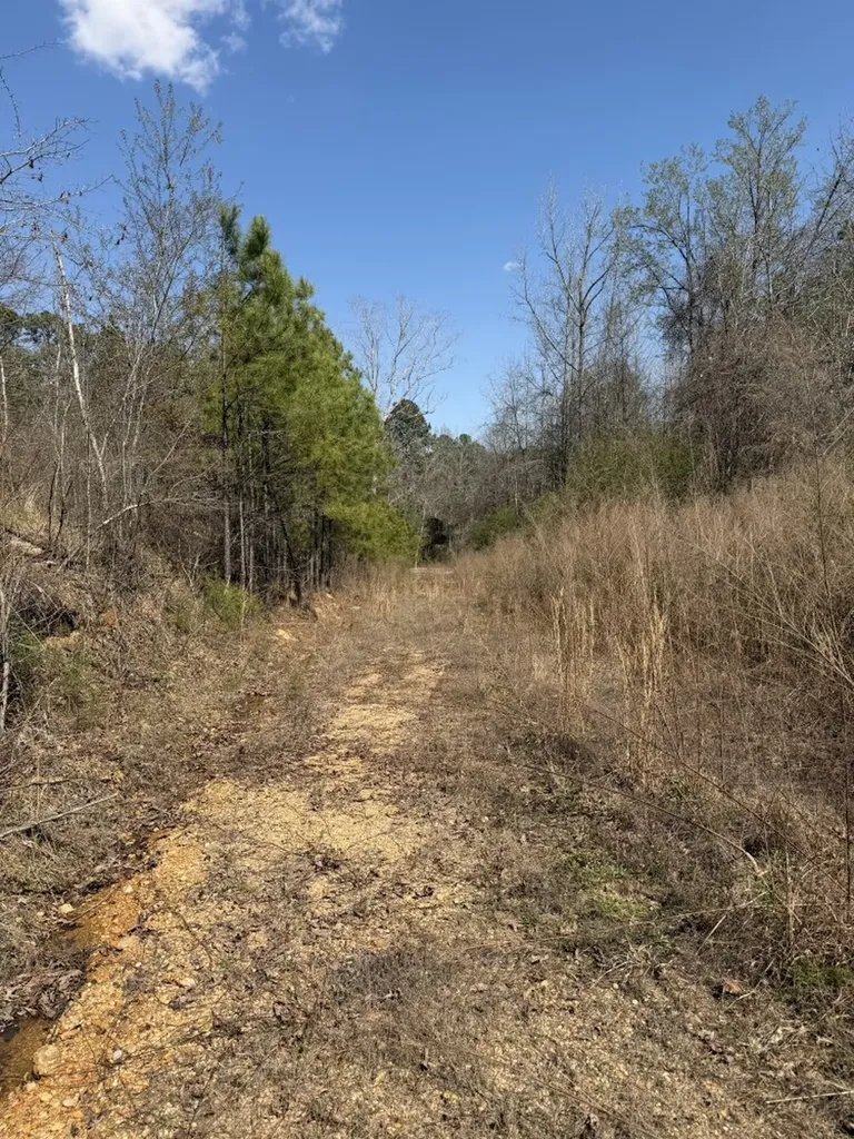 0 Highway 129 Hubbertville AL 35594