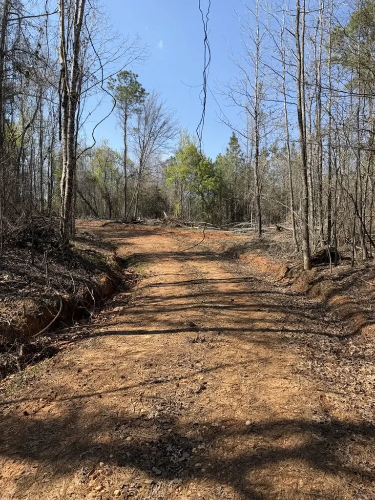 0 Highway 129 Hubbertville AL 35594