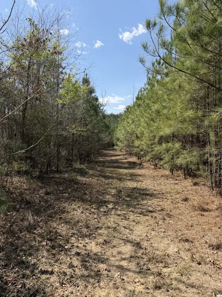 0 Highway 129 Hubbertville AL 35594