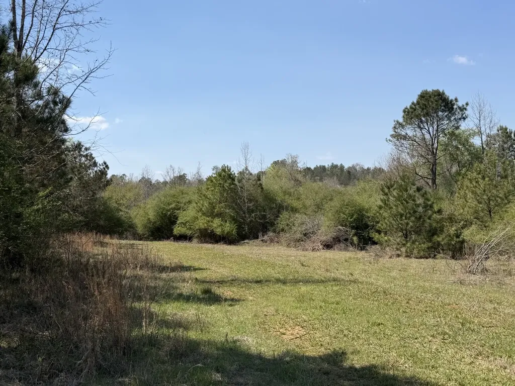 0 Highway 129 Hubbertville AL 35594