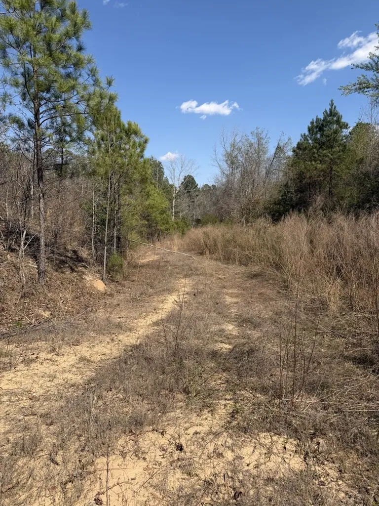 0 Highway 129 Hubbertville AL 35594