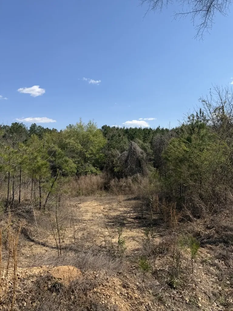 0 Highway 129 Hubbertville AL 35594