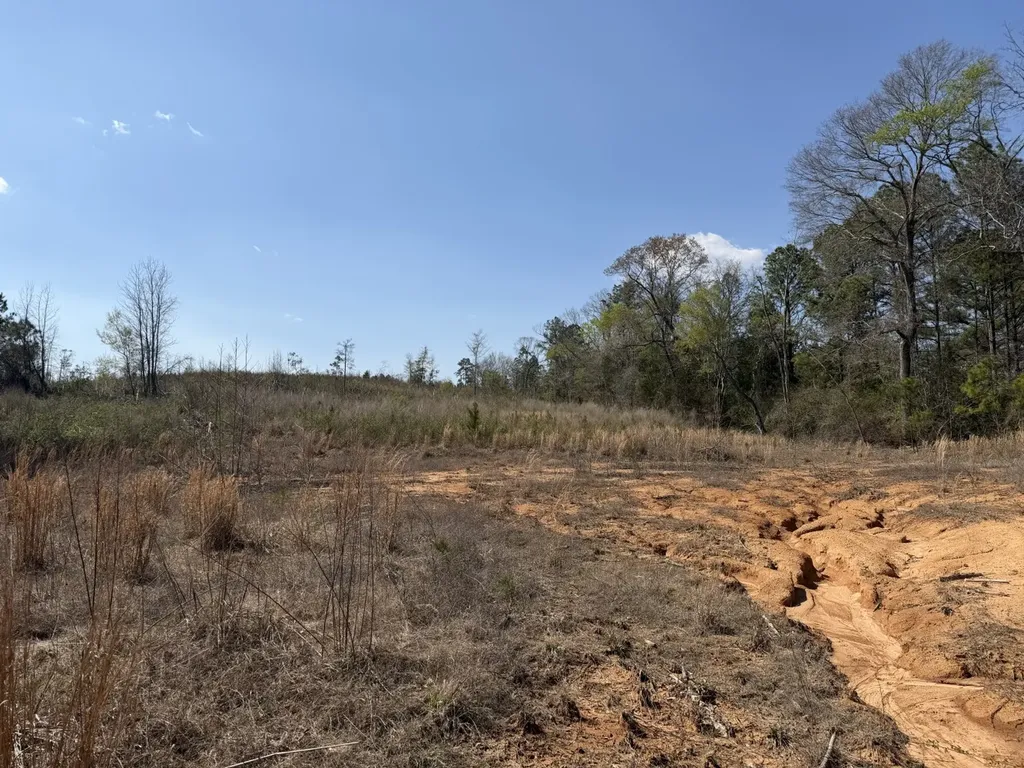 0 Highway 129 Hubbertville AL 35594