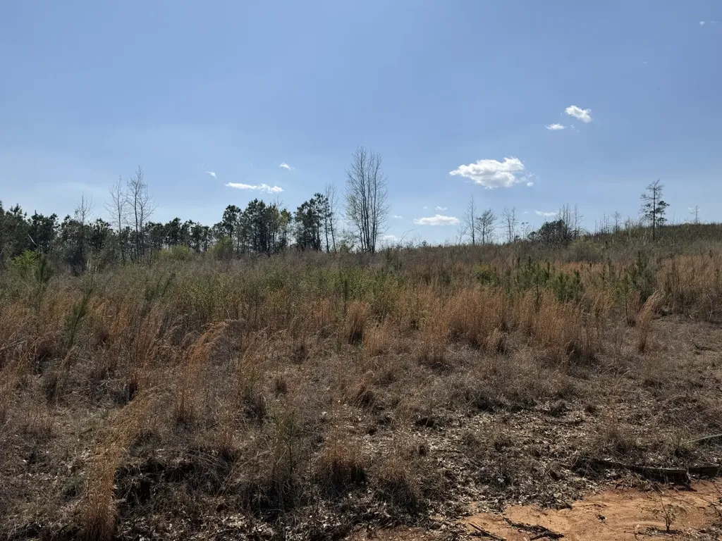 0 Highway 129 Hubbertville AL 35594
