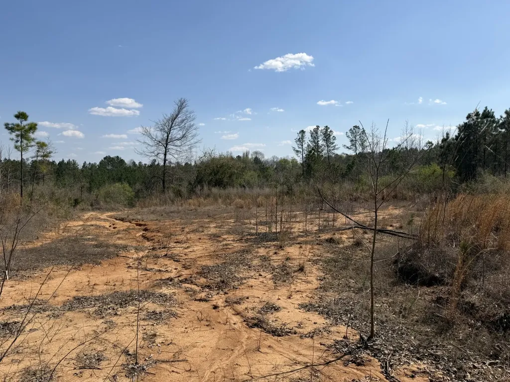 0 Highway 129 Hubbertville AL 35594