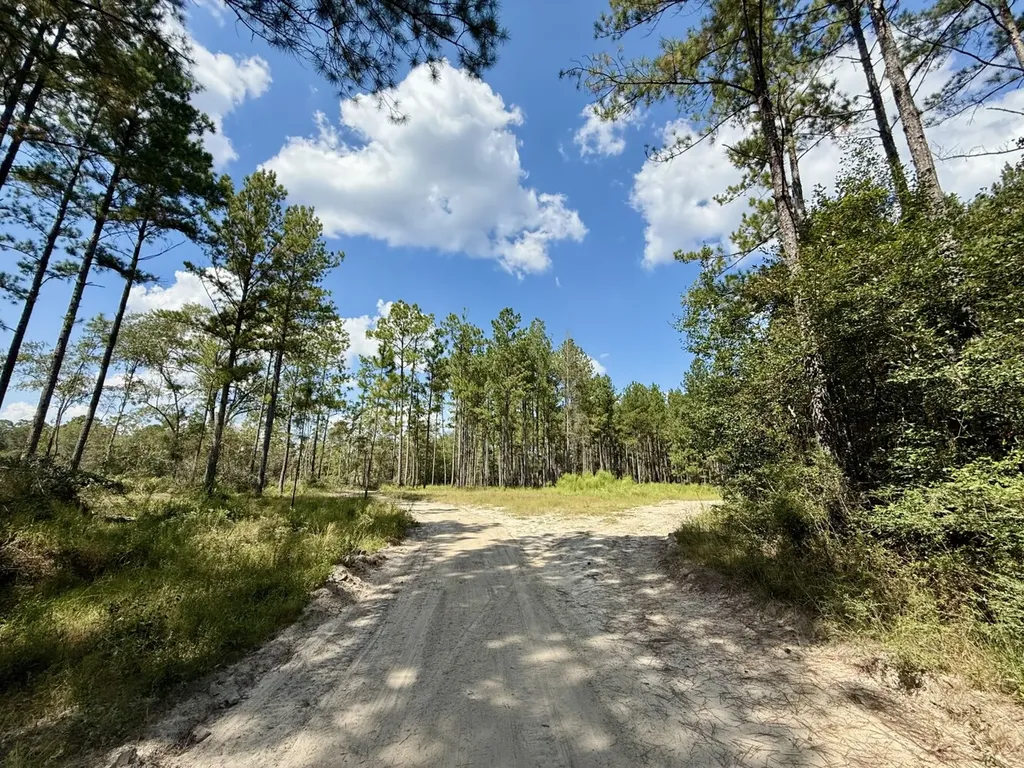0 County Road 64 Robertsdale AL 36507