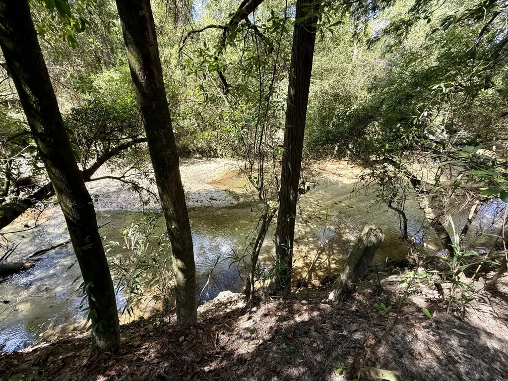 0 County Road 64 Robertsdale AL 36507