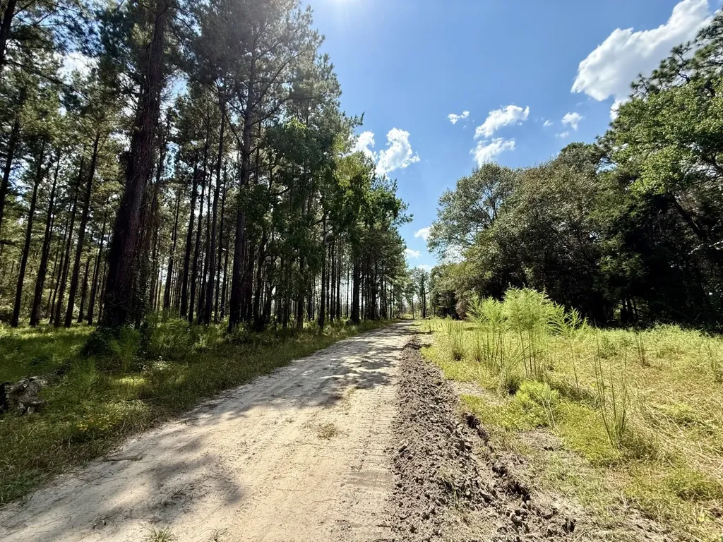 0 County Road 64 Robertsdale AL 36507
