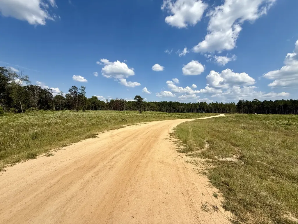 0 County Road 64 Robertsdale AL 36507