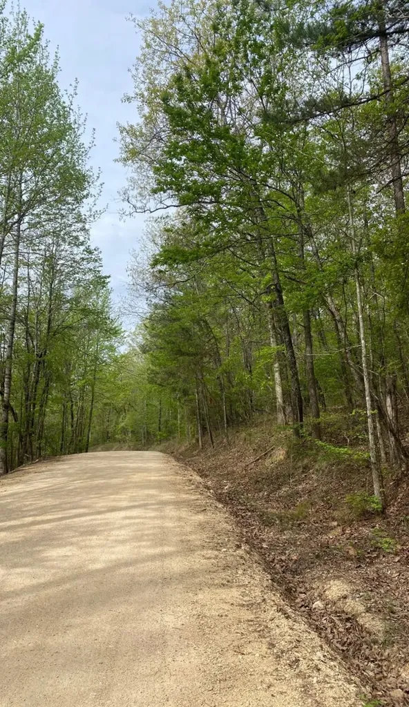 595 Ridgeview Lake Drive Alabaster AL 35007