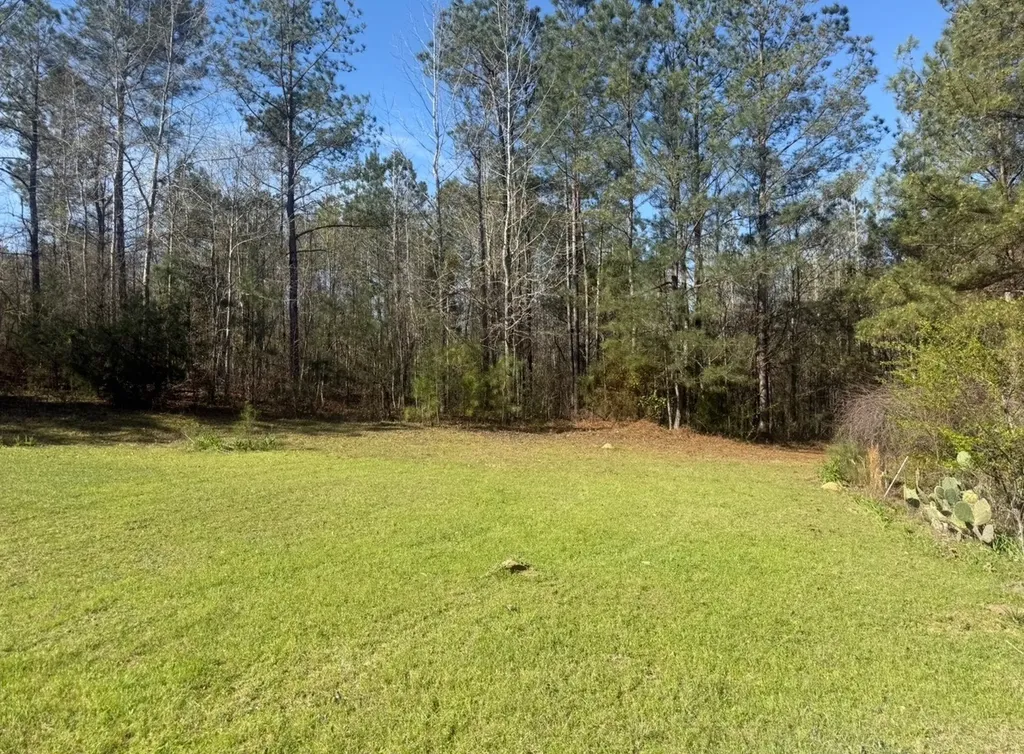 1010 Lee Road Salem AL 36874