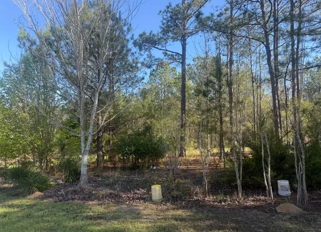 1010 Lee Road Salem AL 36874