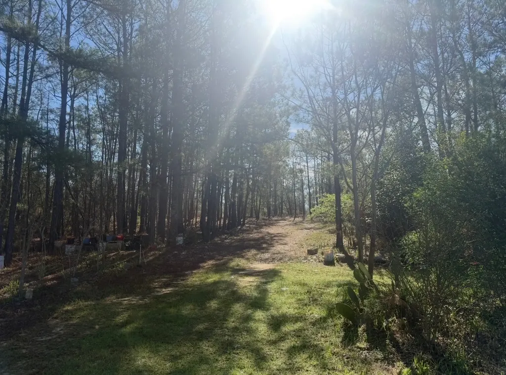 1010 Lee Road Salem AL 36874