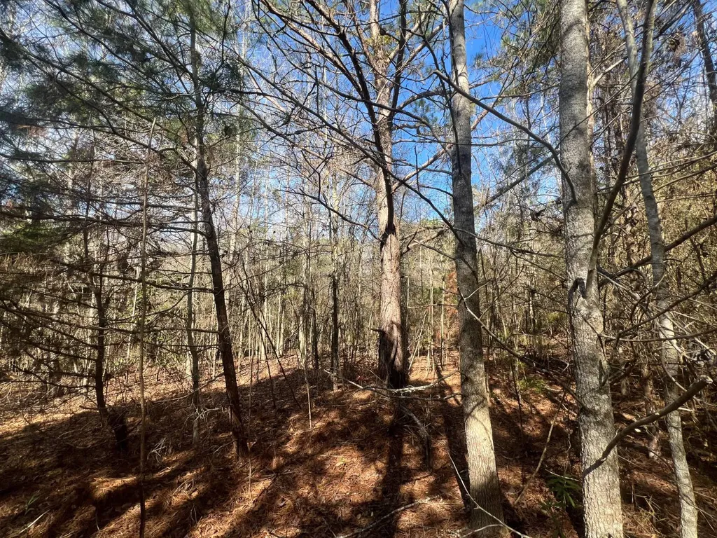 0 Coby Drive, Ozark, Al, 36360 Ozark AL 36360