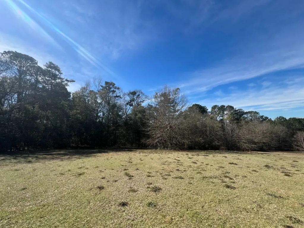 0 Coby Drive, Ozark, Al, 36360 Ozark AL 36360
