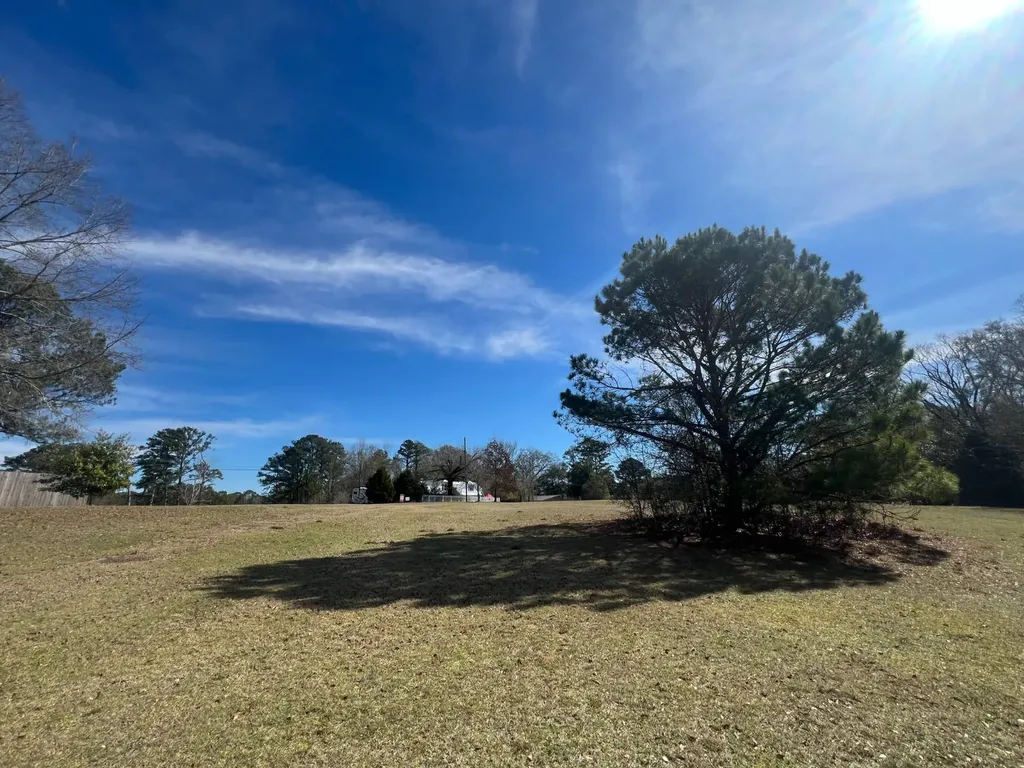 0 Coby Drive, Ozark, Al, 36360 Ozark AL 36360