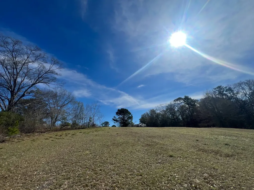 0 Coby Drive, Ozark, Al, 36360 Ozark AL 36360