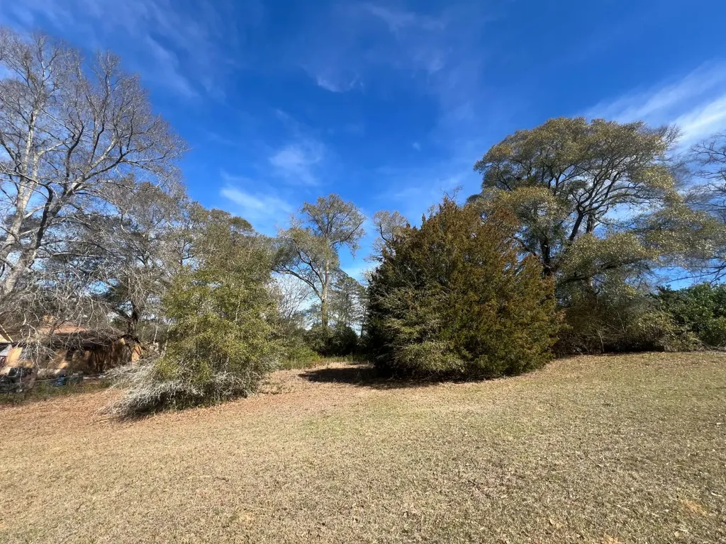 0 Coby Drive, Ozark, Al, 36360 Ozark AL 36360