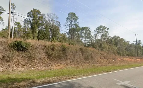 0 Co Road 97 Abbeville AL 36310