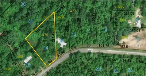 0 Woodland Drive Abbeville AL 36310