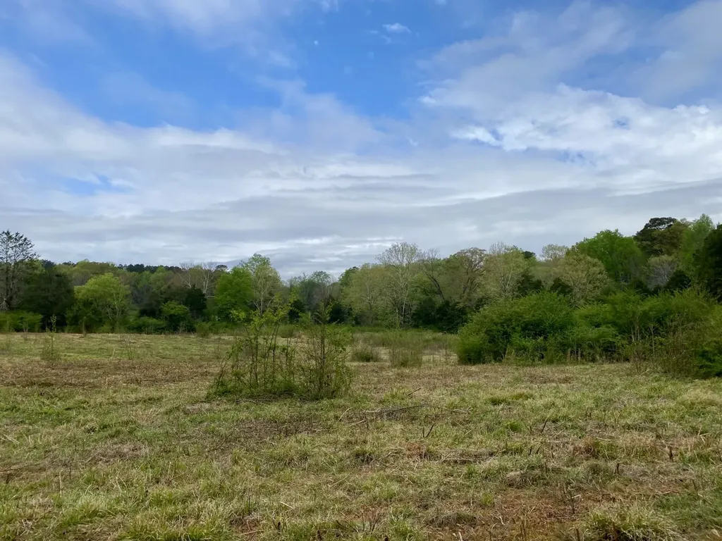 0 Highway 25 Vincent AL 35178