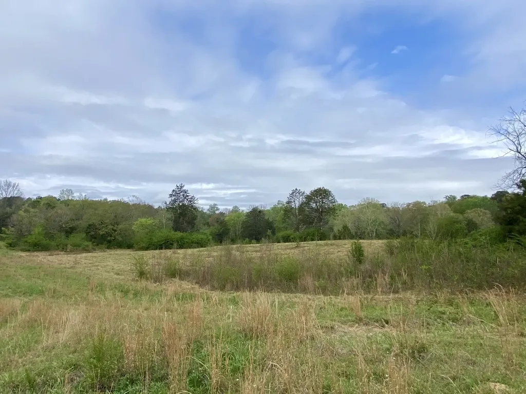 0 Highway 25 Vincent AL 35178