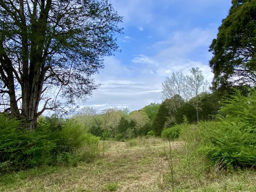 0 Highway 25 Vincent AL 35178