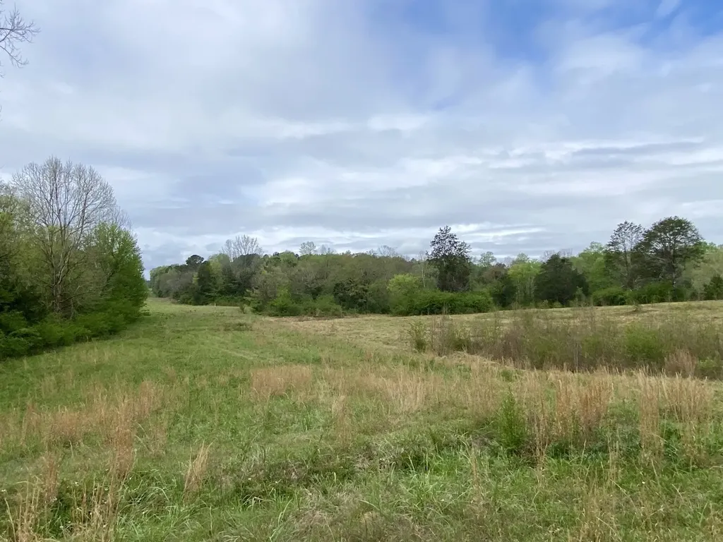 0 Highway 25 Vincent AL 35178