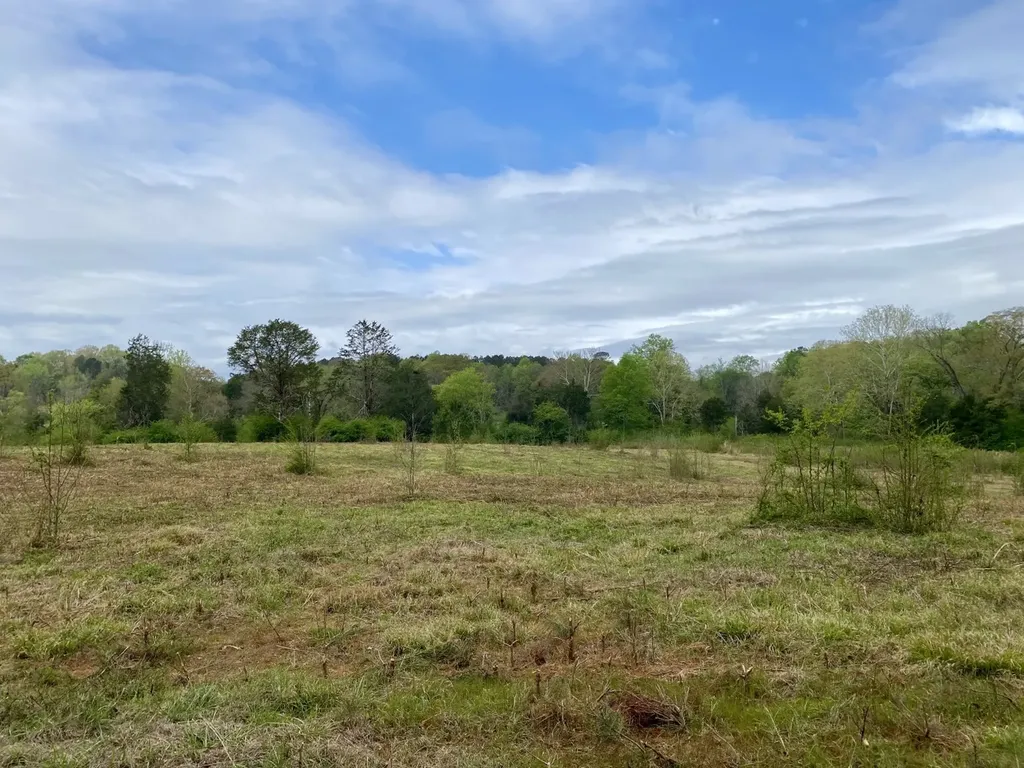 0 Highway 25 Vincent AL 35178