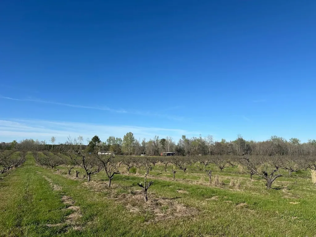 000 County Road 15 Maplesville AL 36750