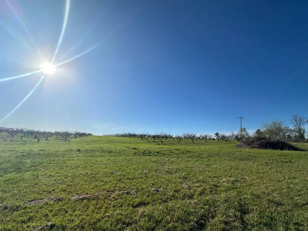 000 County Road 15 Maplesville AL 36750