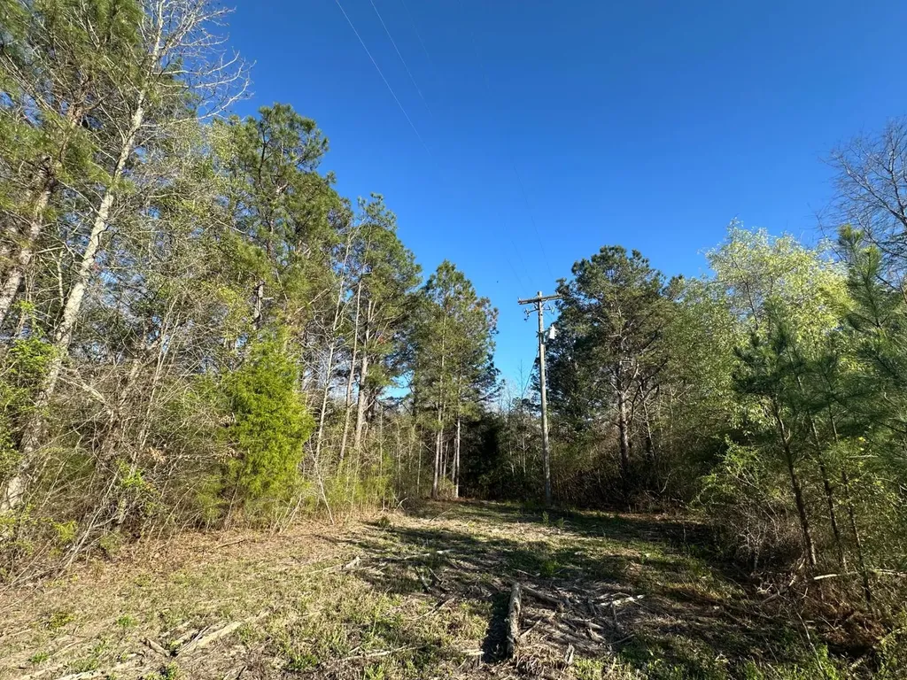 000 County Road 15 Maplesville AL 36750