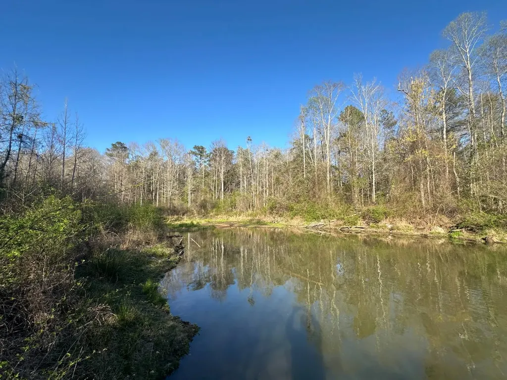 000 County Road 15 Maplesville AL 36750