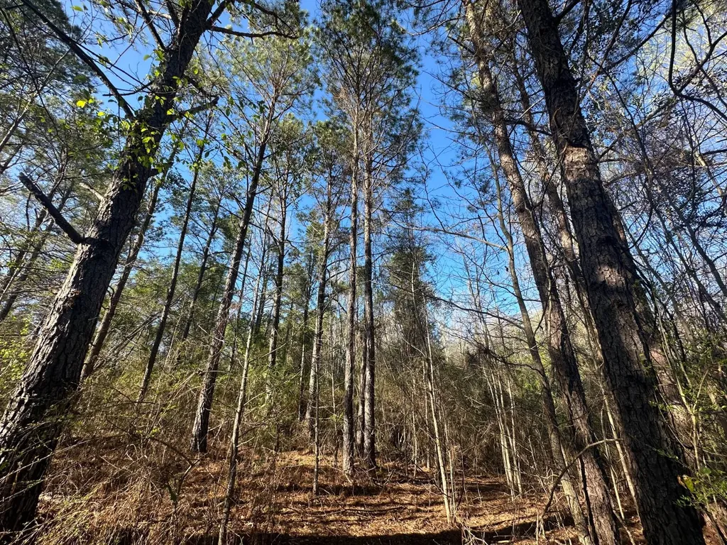 000 County Road 15 Maplesville AL 36750