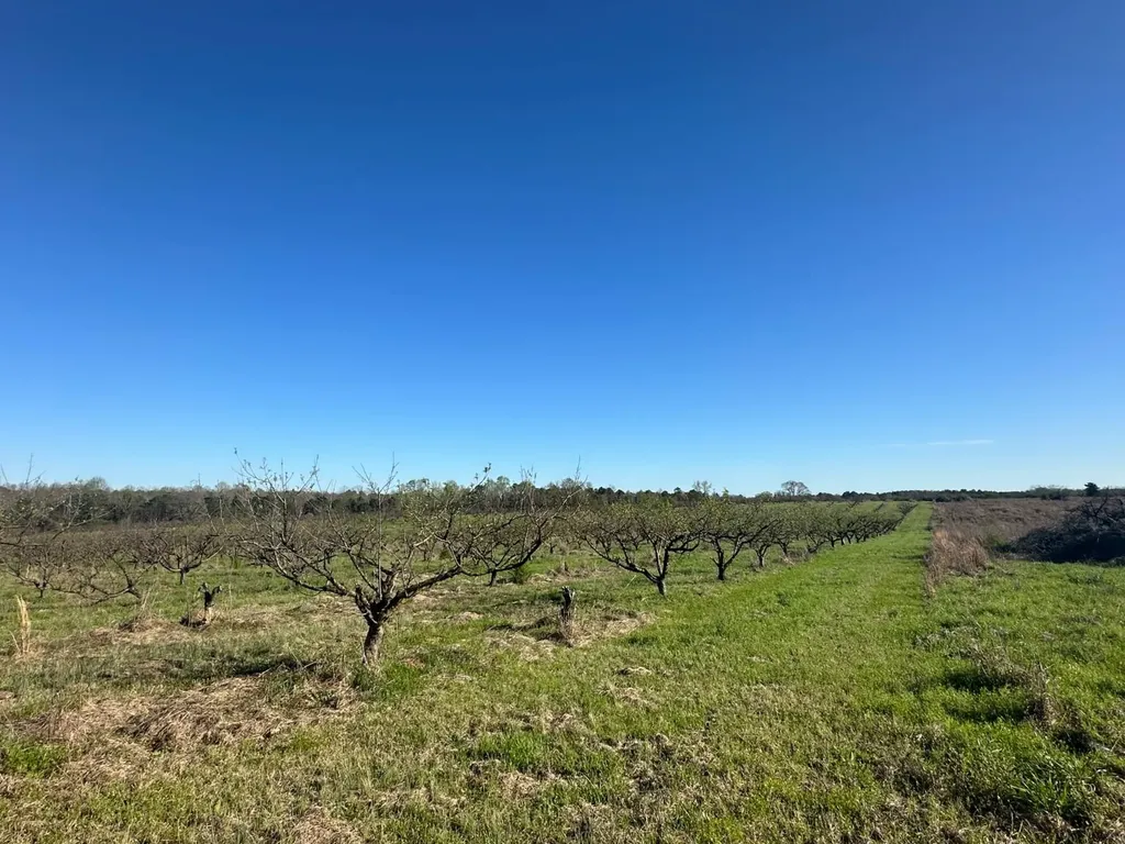 000 County Road 15 Maplesville AL 36750