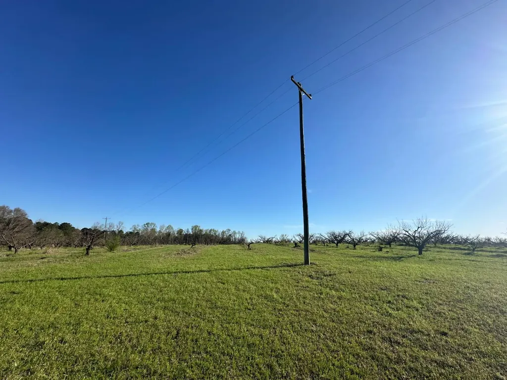 000 County Road 15 Maplesville AL 36750