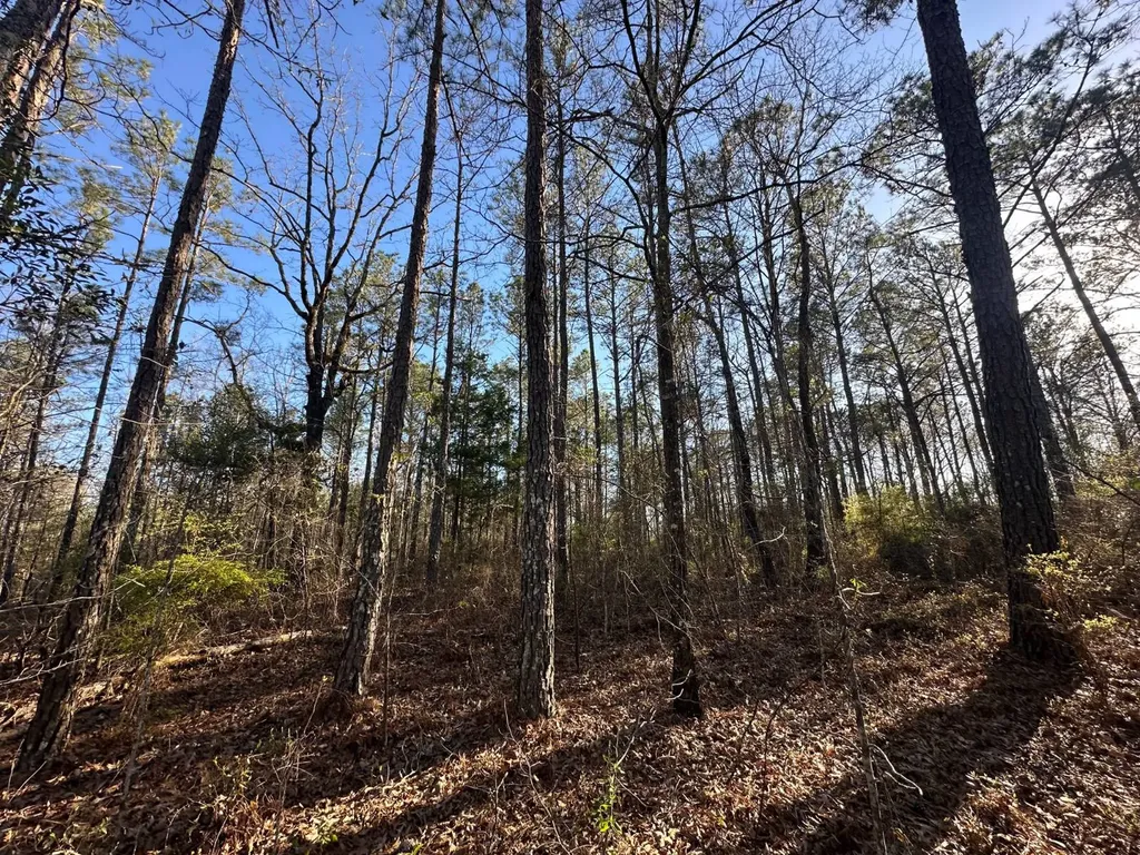 000 County Road 15 Maplesville AL 36750
