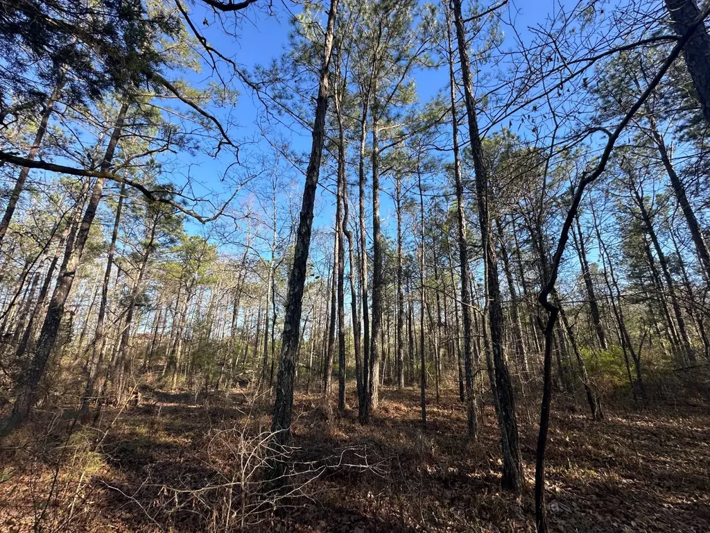 000 County Road 15 Maplesville AL 36750