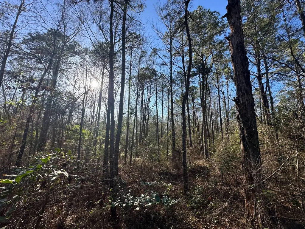 000 County Road 15 Maplesville AL 36750