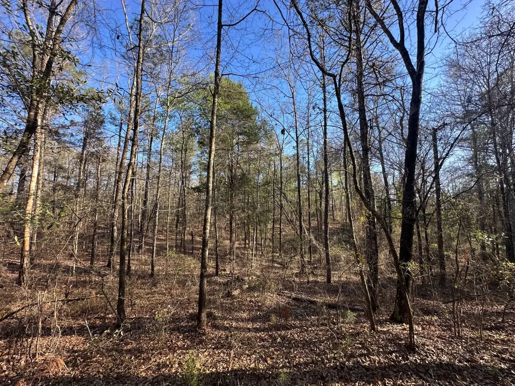 000 County Road 15 Maplesville AL 36750