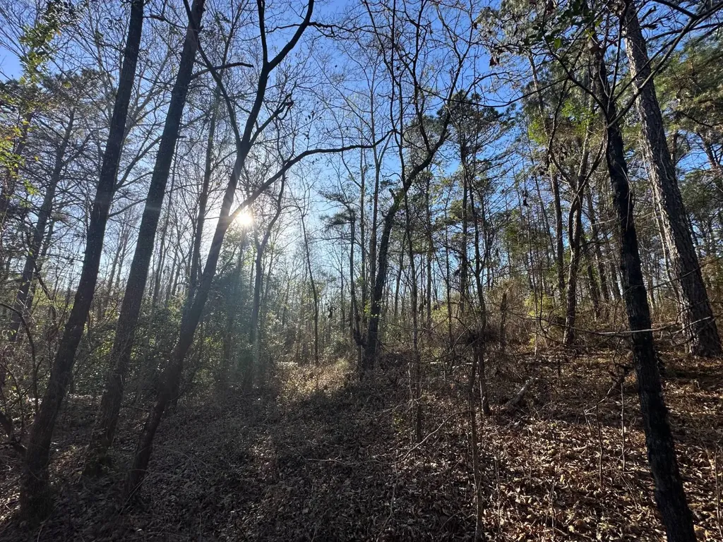000 County Road 15 Maplesville AL 36750