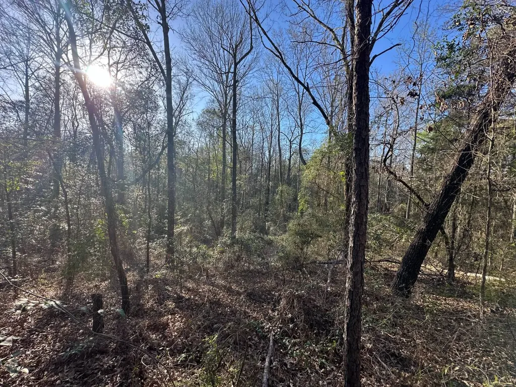 000 County Road 15 Maplesville AL 36750