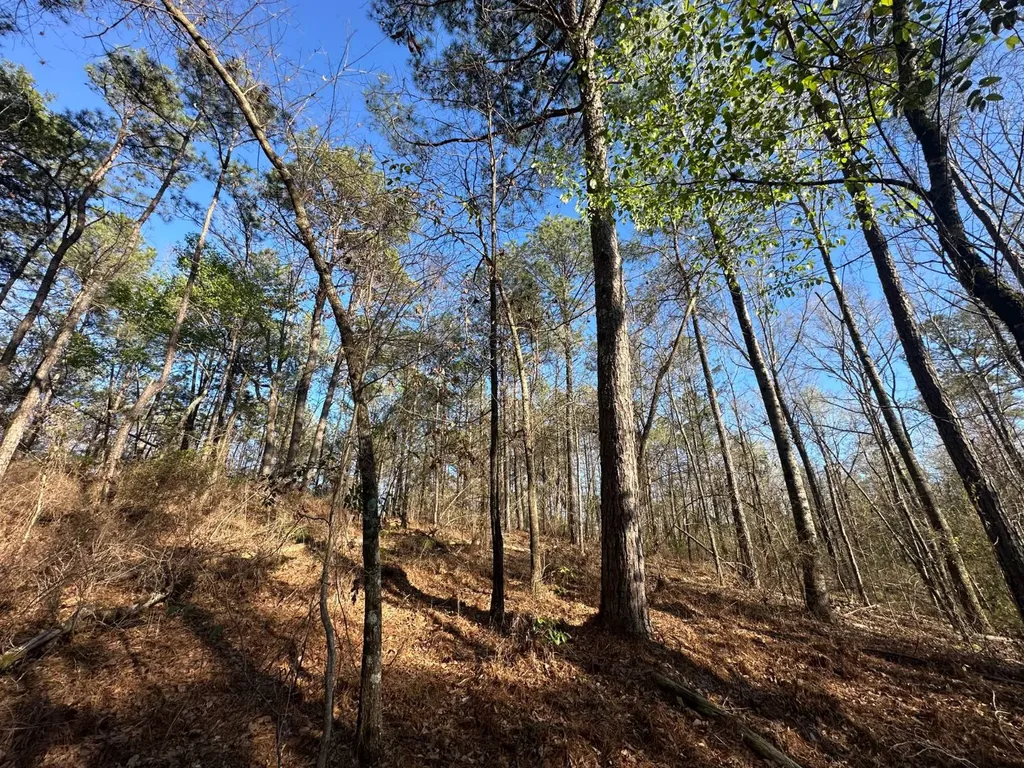 000 County Road 15 Maplesville AL 36750